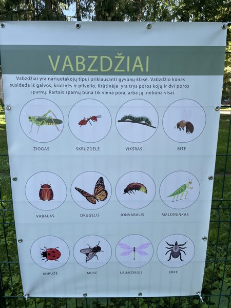 Ugdomieji tentai - Vabzdžiai